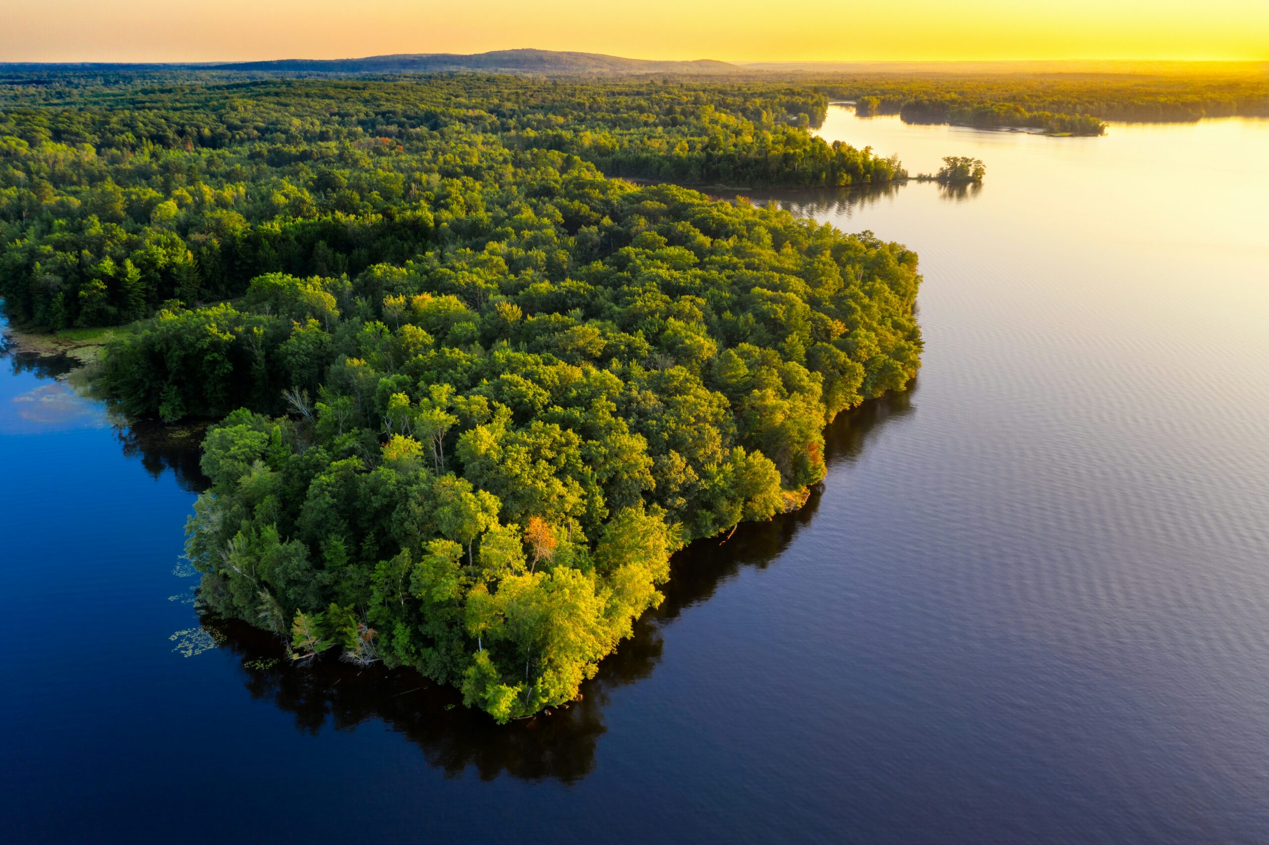 Amazon River