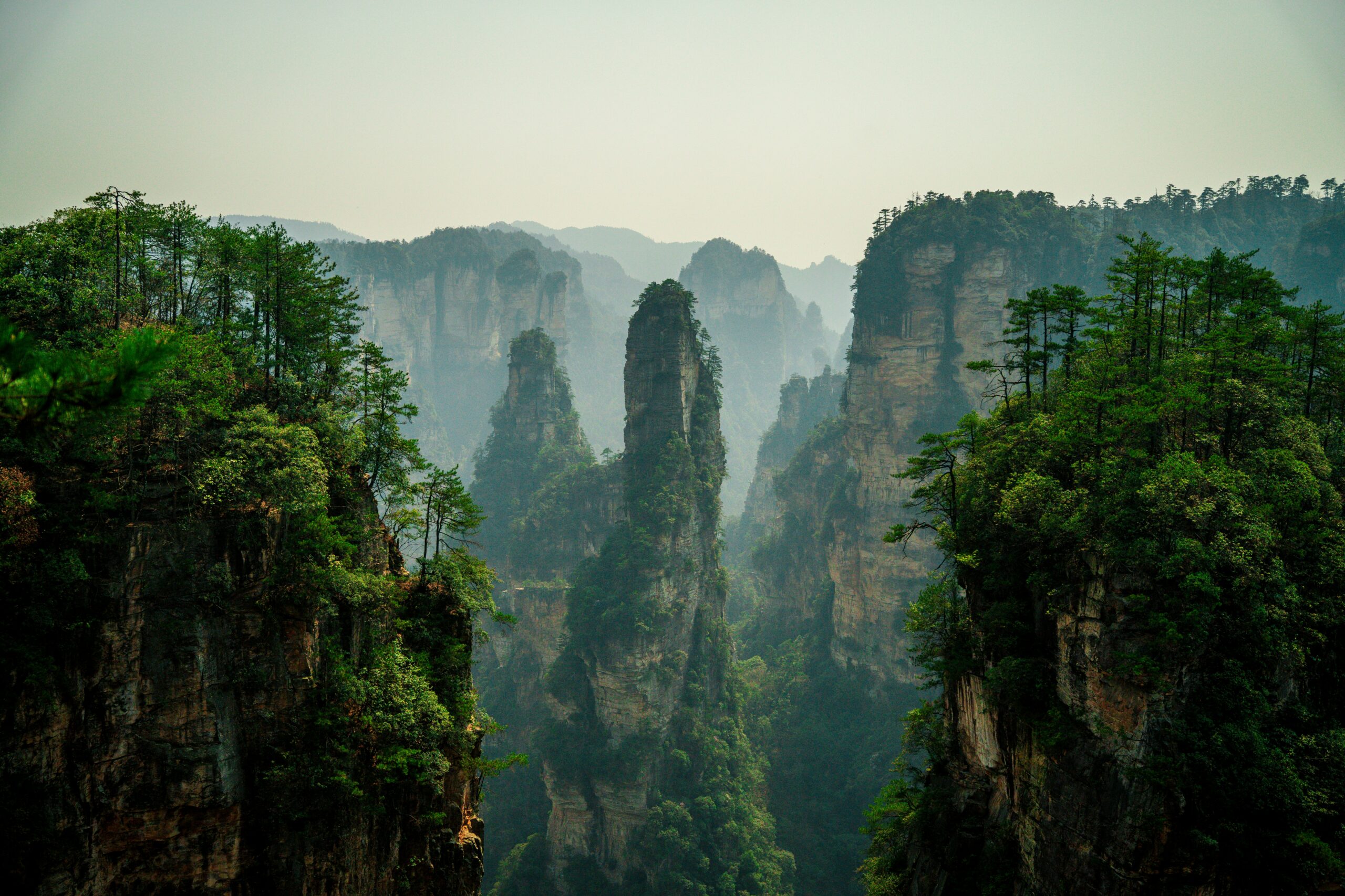 sandstone pillars of Zhangjiajie