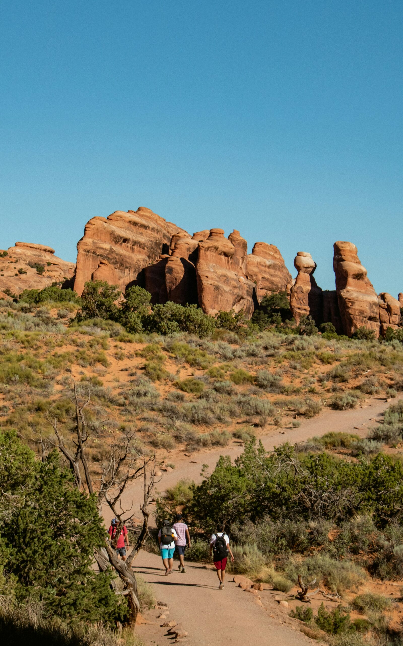 travelers walking a trail